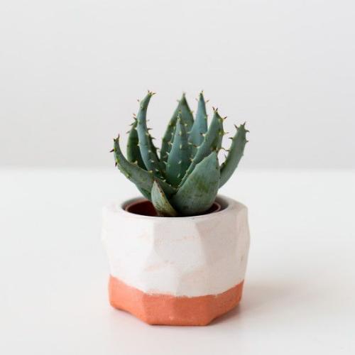 สมาชิกหมายเลข 4777325