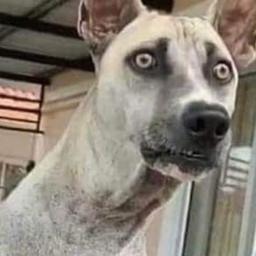 สมาชิกหมายเลข 6150570