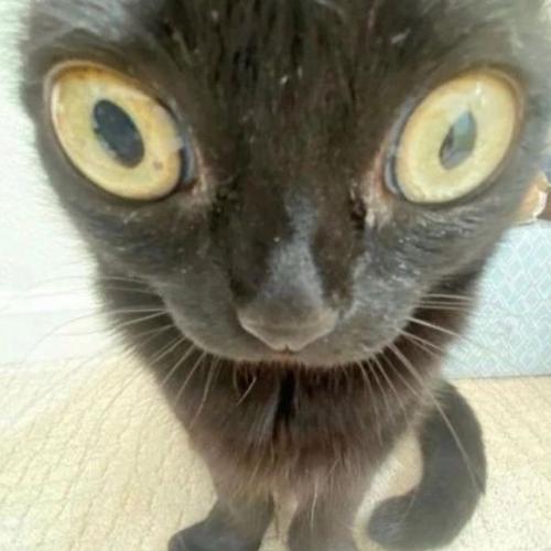 สมาชิกหมายเลข 7550324