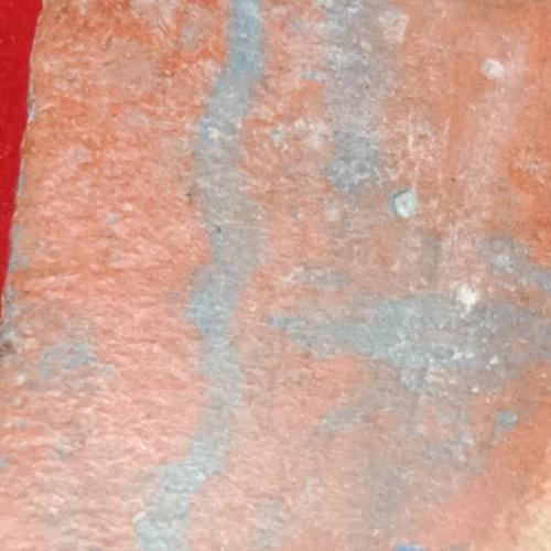 สมาชิกหมายเลข 5270356