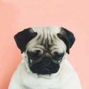 สมาชิกหมายเลข 3942575