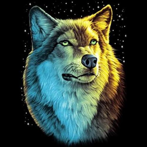 สมาชิกหมายเลข 4800547