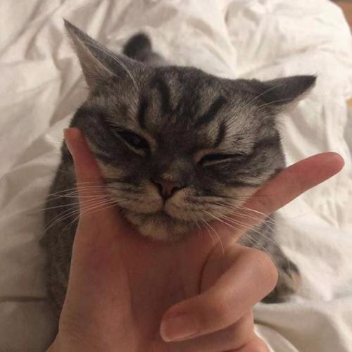 สมาชิกหมายเลข 2789931