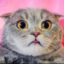 สมาชิกหมายเลข 5159489