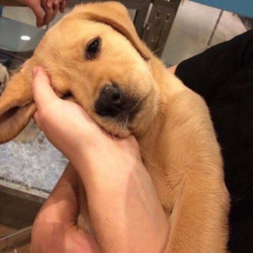 สมาชิกหมายเลข 5179067