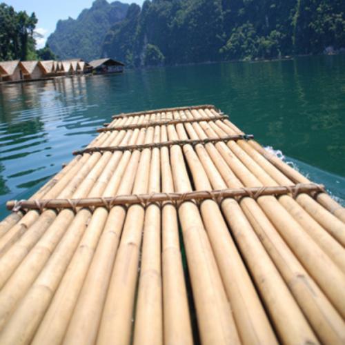 สมาชิกหมายเลข 5181191