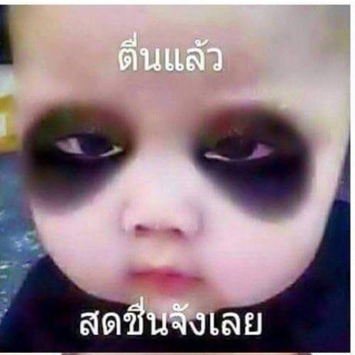 สมาชิกหมายเลข 2846695