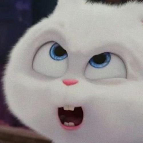 สมาชิกหมายเลข 3579229