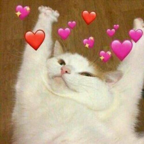 สมาชิกหมายเลข 5588084