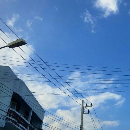 สมาชิกหมายเลข 5588341