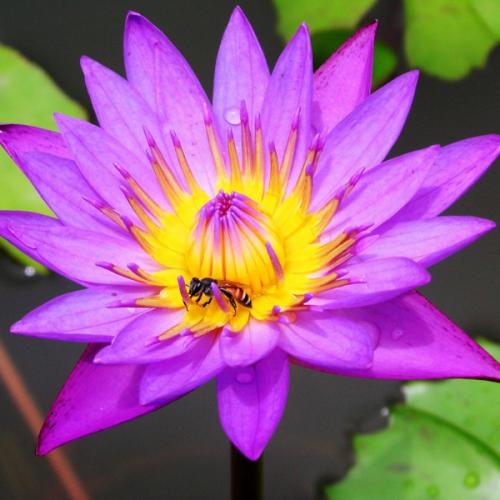 สมาชิกหมายเลข 5094569