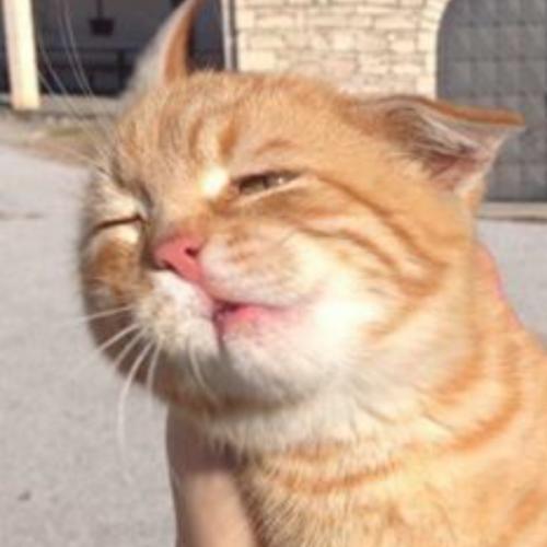 สมาชิกหมายเลข 5380797