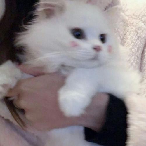 สมาชิกหมายเลข 3541808