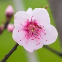 สมาชิกหมายเลข 1587123