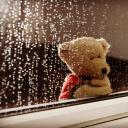 สมาชิกหมายเลข 2846233