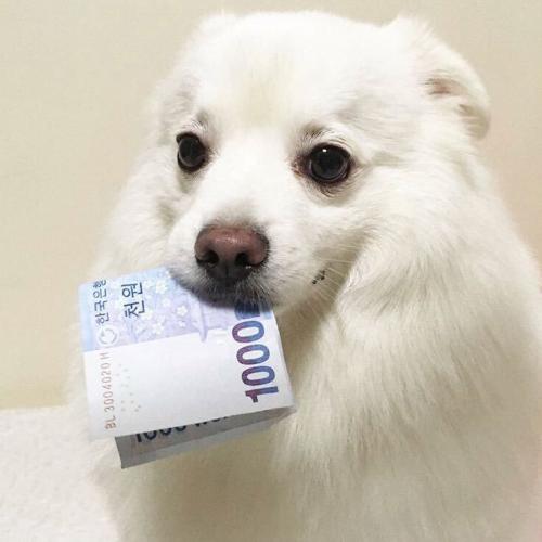 สมาชิกหมายเลข 4708412