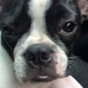 สมาชิกหมายเลข 4800721