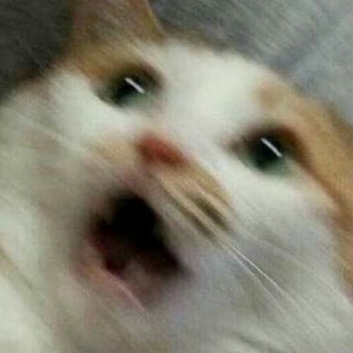 สมาชิกหมายเลข 5181572