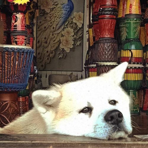 สมาชิกหมายเลข 1669089