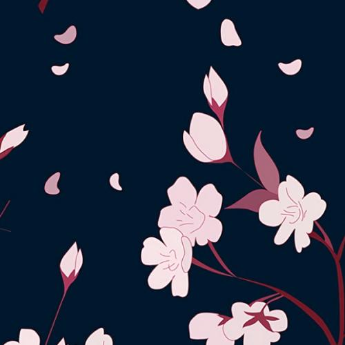 สมาชิกหมายเลข 1630396