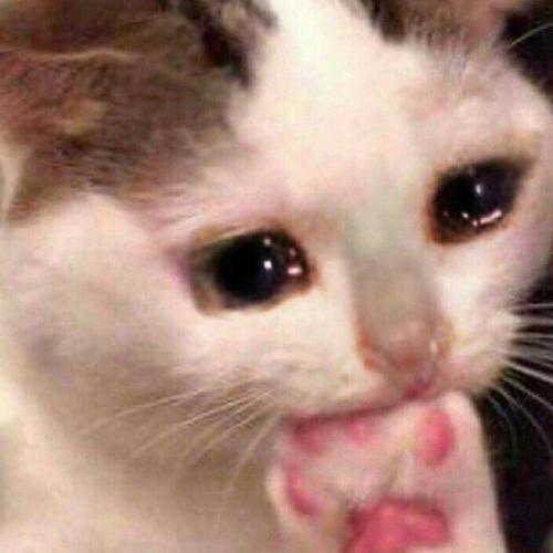 สมาชิกหมายเลข 6152045