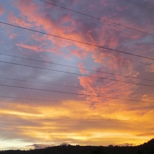 เดี๋ยวเอาขยะไปทิ้งก่อน