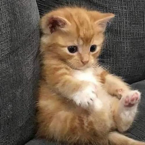 สมาชิกหมายเลข 6779698