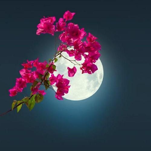 สมาชิกหมายเลข 7169154