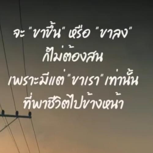 สมาชิกหมายเลข 3421577