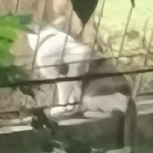 สมาชิกหมายเลข 8451084