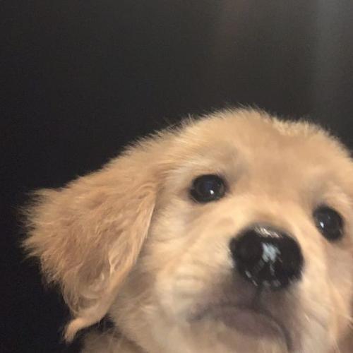 สมาชิกหมายเลข 8464230