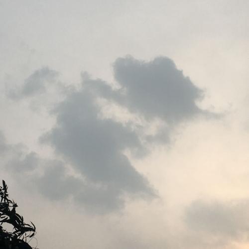 สมาชิกหมายเลข 2502280