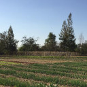 สมาชิกหมายเลข 4463277