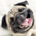 สมาชิกหมายเลข 2838587