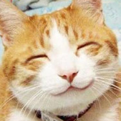 สมาชิกหมายเลข 4801272