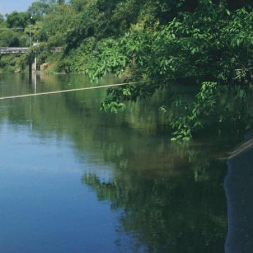 สมาชิกหมายเลข 4956812