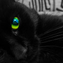 สมาชิกหมายเลข 5182247