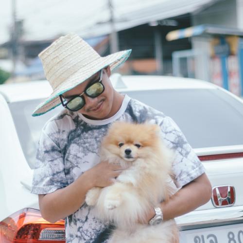 สมาชิกหมายเลข 5589525