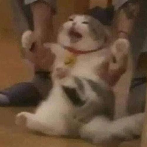 สมาชิกหมายเลข 3444640