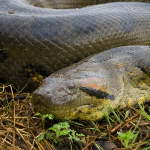 สมาชิกหมายเลข 6778994