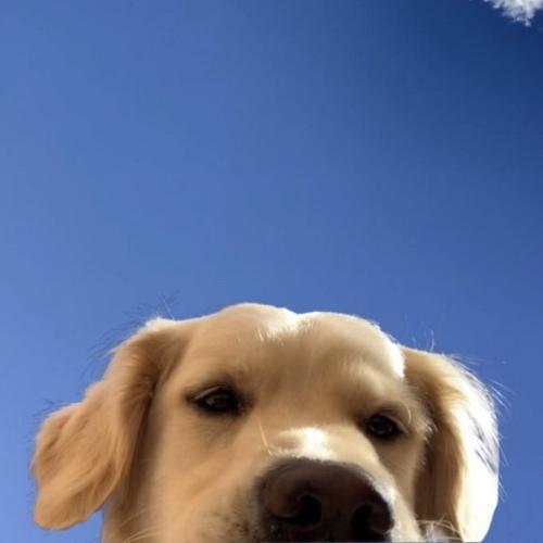 สมาชิกหมายเลข 7544155