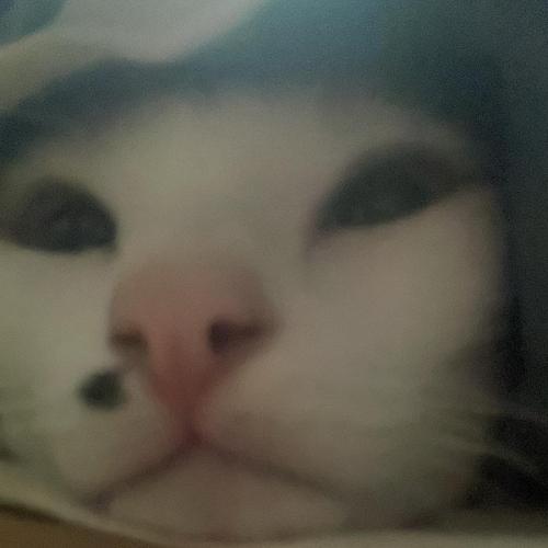 สมาชิกหมายเลข 5128149