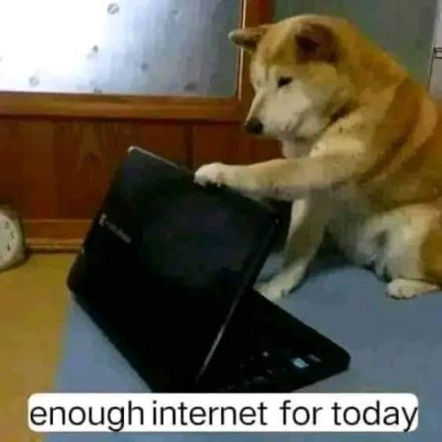 สมาชิกหมายเลข 721432