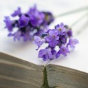 สมาชิกหมายเลข 3994784