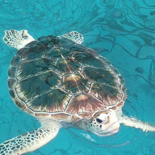 สมาชิกหมายเลข 3206732