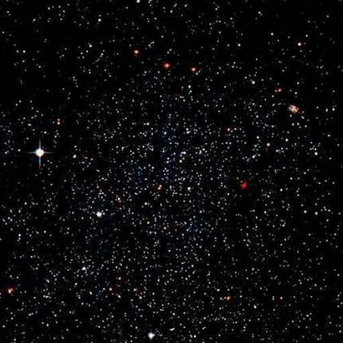 สมาชิกหมายเลข 4463672