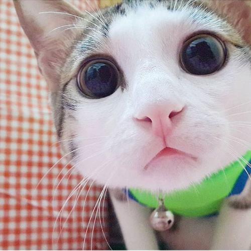 สมาชิกหมายเลข 3022380