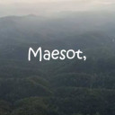 สมาชิกหมายเลข 3377032