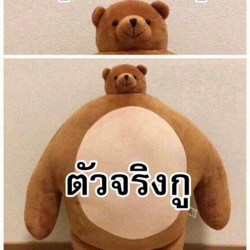สมาชิกหมายเลข 2370265