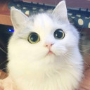 สมาชิกหมายเลข 5182513